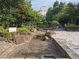 BLT抽選 久住小春 チェキ